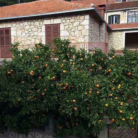 Prázdninový dům Holiday Svirce 17682 *